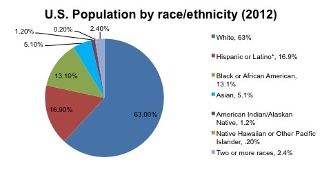 Racial Demographics of the USA