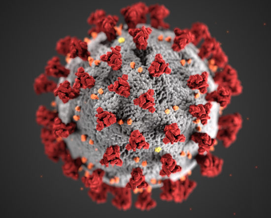 LIVE FEED - Keeping up with the Coronavirus COVID-19 1 Coronavirus COVID-19